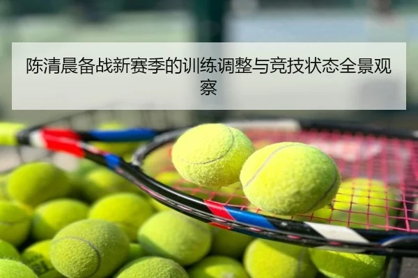 陈清晨备战新赛季的训练调整与竞技状态全景观察